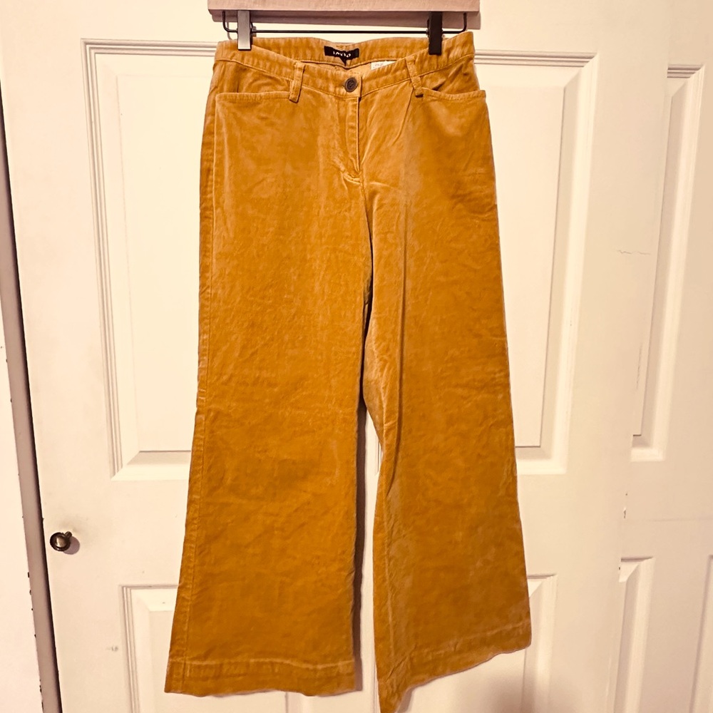 Jayro | Pants | Golden Velour Wide Leg Pants